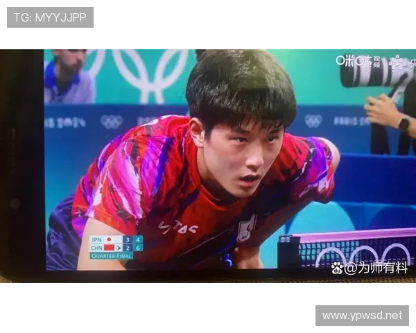 张本智和训练完直接去米其林三星，这谁顶得住啊