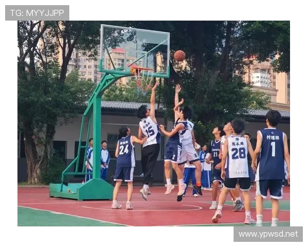 如何正确理解篮球比赛中的后场规则及其具体判罚标准